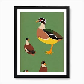 Wood Duck Midcentury Illustration Bird Art Print