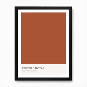 Copper Canyon Colour Block Poster Art Print