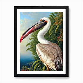 Brown Pelican Haeckel Style Vintage Illustration Bird Art Print