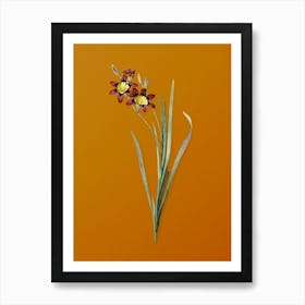 Vintage Ixia Tricolor Botanical on Sunset Orange n.0404 Art Print