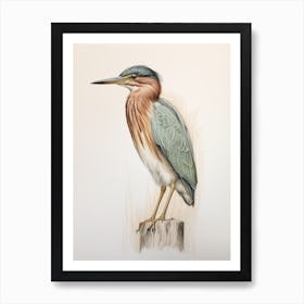 Vintage Bird Drawing Green Heron 2 Art Print