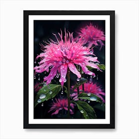 Bee Balm Wildflower In South Western Style (3) Art Print