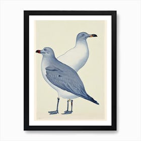 Seagull Illustration Bird Art Print