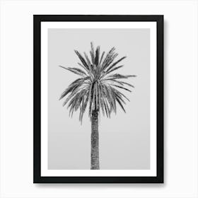 Italian Palm Art Print