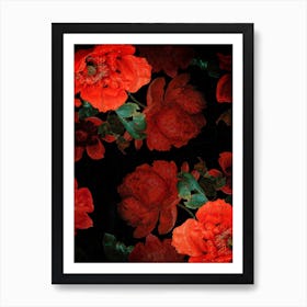 Antique Dutch Vintage Poppies Garden Art Print