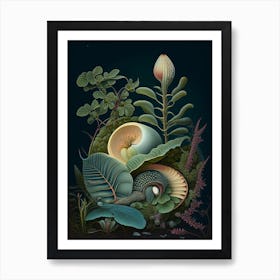Moon Snail  1 Botanical Art Print