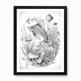 Butterfly Koi Fish Haeckel Style Illustastration Art Print