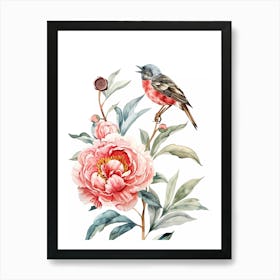 Watercolor Peony And Bird Art Print