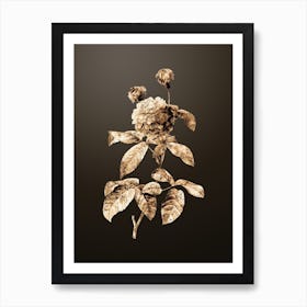 Gold Botanical Agatha Rose in Bloom on Chocolate Brown n.3221 Art Print