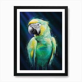 Parrot Art Print