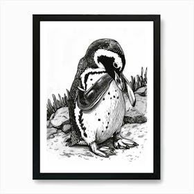 African Penguin Preening Their Feathers 3 Art Print