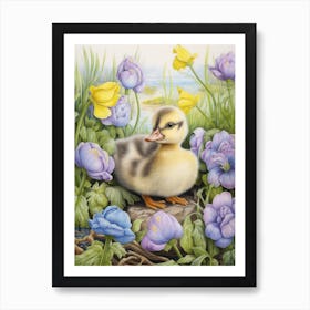 Floral Duckling Pencil Illustration 1 Art Print