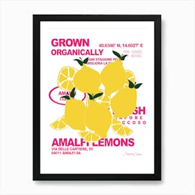 Lemons Art Print