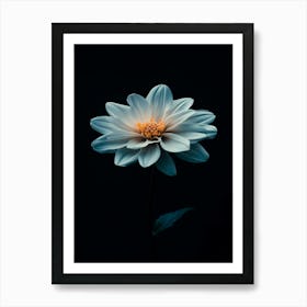 White Dahlia Flower Art Print