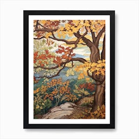 American Sycamore 1 Vintage Autumn Tree Print  Art Print