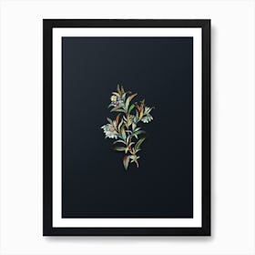 Vintage Blue Narrow Leaved Sollya Botanical Watercolor Illustration on Dark Teal Blue Art Print