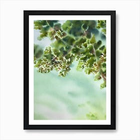 Acropora Vaughani Iiii Storybook Watercolour Art Print