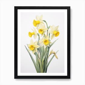 Daffodils Flower Vintage Botanical 1 Art Print