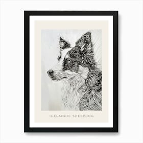 Icelandic Sheepdog Line Art 3 Poster Art Print