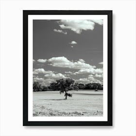 Lone Tree In A Field Art Print