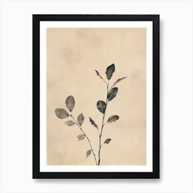 Lisbon Flower Market Boho Minimalist Style Art Print