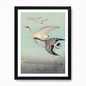 Great Geese In Flight (1925 1936), Ohara Koson Art Print