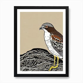 Eurasian Sparrowhawk 3 Linocut Bird Art Print