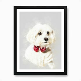 Maltese Dog 1 Art Print