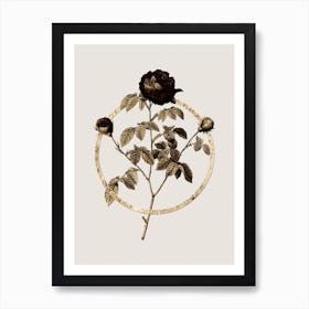 Gold Ring Agatha Rose in Bloom Glitter Botanical Illustration n.0253 Art Print