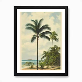 Rosebud Beach Australia Vintage Art Print