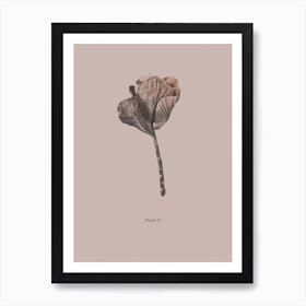 Botanico II Art Print