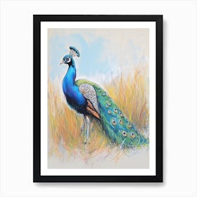 Peacock Walking Through The Grass 1 Art Print