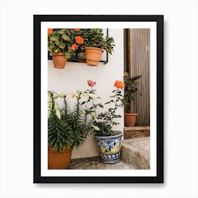 House With Potted Plants With Roses, Spain, Europe Art Print