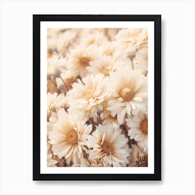 Boho Dried Flowers Cineraria 2 Art Print