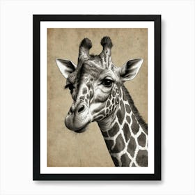 Giraffe 104 Art Print