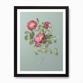 Vintage Rose of Love Bloom Botanical Art on Mint Green n.0193 Art Print