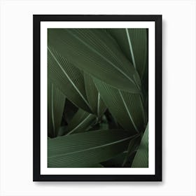 Minimal Plants Art Print