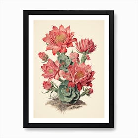 Vintage Cactus Illustration Acanthocalycium Cactus 4 Art Print