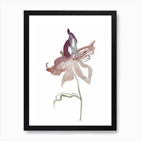 Lily 1 Art Print