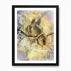 Horse Drawing Art Illustration In A Photomontage Style 29 Art Print