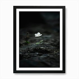 Single Flower In Water 10 Art Print