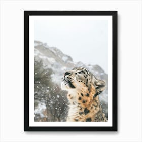 Snow Leopard In The Snow Art Print