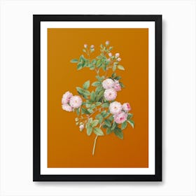 Vintage Pink Baby Roses Botanical on Sunset Orange n.0934 Art Print