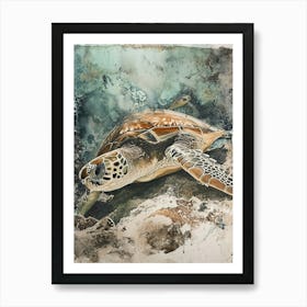 Close Up Sea Turtle On The Ocen Floor Art Print