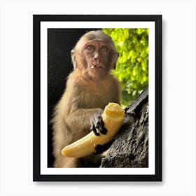 Monkey Eating Banana Art Print