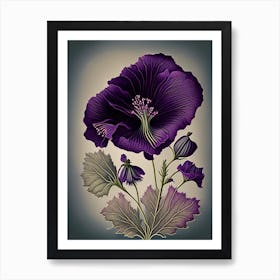 Purple Poppy Mallow Wildflower Vintage Botanical 1 Art Print