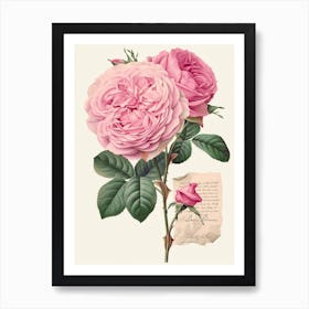 English Roses Painting Romantic 1 Art Print