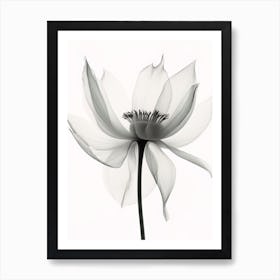X Ray Flower 5 Art Print