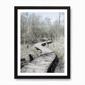 Footpath Between The Trees Art Print