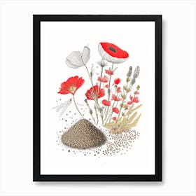 Poppy Seeds Spices And Herbs Pencil Illustration 3 Art Print